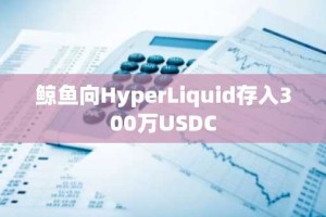 鲸鱼向HyperLiquid存入300万USDC