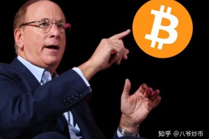 炒币ico是什么意思