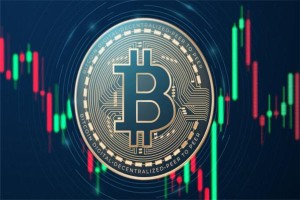 派币今天最新官方消息真实2025，派币官方2025年最新动态