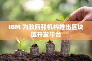 IBM 为政府和机构推出区块链开发平台