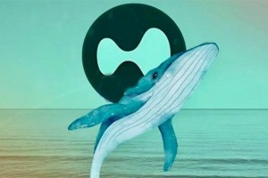 Hyperliquid巨鲸将DeBank账户名改为MELANIA ZachXBT即将曝光其犯罪证据