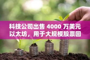 科技公司出售 4000 万美元以太坊，用于大规模股票回购