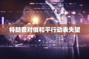 特朗普对俄和平行动表失望