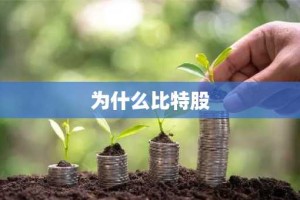 为什么比特股