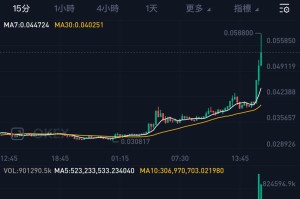 狗狗币最新手机钱包：