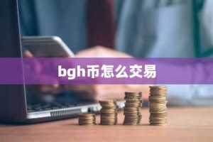 bgh币怎么交易