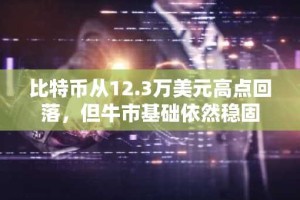 比特币从12.3万美元高点回落，但牛市基础依然稳固