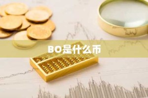 BO是什么币