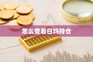 怎么查看日均持仓
