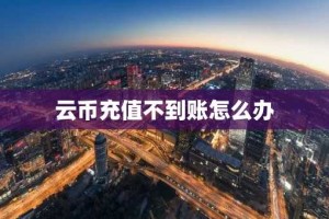 云币充值不到账怎么办