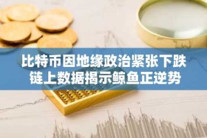 比特币因地缘政治紧张下跌 链上数据揭示鲸鱼正逆势增持