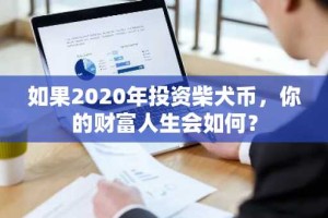 如果2020年投资柴犬币，你的财富人生会如何？