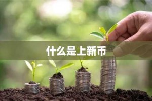 什么是上新币