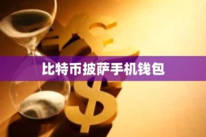 比特币披萨手机钱包