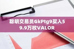 聪明交易员GkPtg9买入59.9万枚VALOR