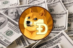 狗狗币DOGE投资前景分析 狗狗币未来发展趋势预测