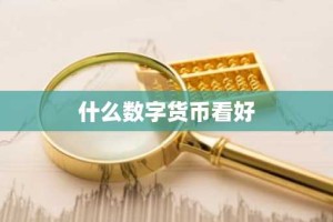 什么数字货币看好