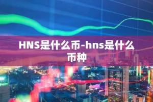 HNS是什么币-hns是什么币种