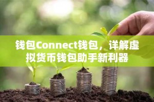 钱包Connect钱包，详解虚拟货币钱包助手新利器