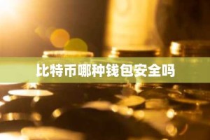 比特币哪种钱包安全吗