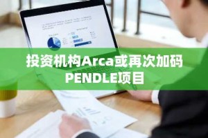 投资机构Arca或再次加码PENDLE项目