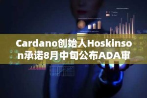 Cardano创始人Hoskinson承诺8月中旬公布ADA审计结果以驳斥6亿美元指控