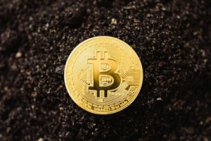 比特币**名单最新