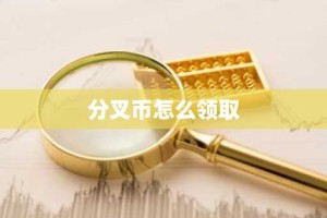 分叉币怎么领取