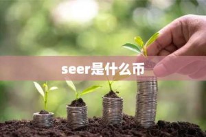 seer是什么币