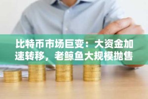 比特币市场巨变：大资金加速转移，老鲸鱼大规模抛售