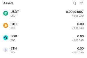 bitpay是什么意思