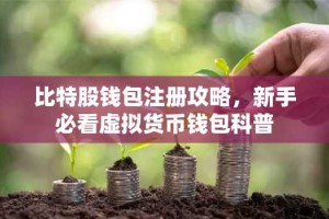 比特股钱包注册攻略，新手必看虚拟货币钱包科普