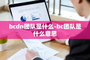 bcdn团队是什么-bc团队是什么意思