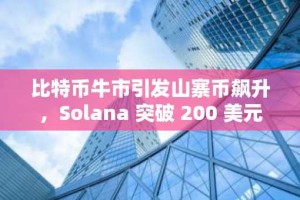 比特币牛市引发山寨币飙升，Solana 突破 200 美元