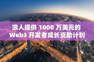 浪人提供 1000 万美元的 Web3 开发者成长资助计划