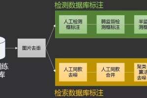 RVC币发行量分析，具体数据及市场影响揭秘