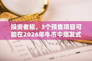 投资者称，3个预售项目可能在2026年牛市中爆发式增长