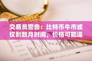 交易员警告：比特币牛市或仅剩数月时间，价格可能逼近140,000美元
