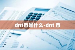 dnt币是什么-dnt 币