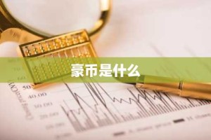 豪币是什么
