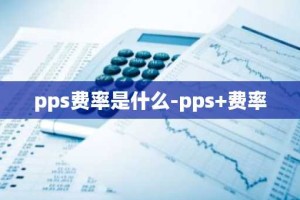 pps费率是什么-pps 费率