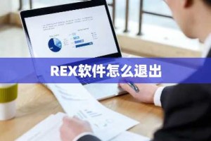 REX软件怎么退出