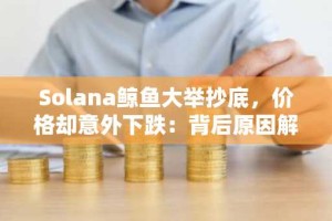 Solana鲸鱼大举抄底，价格却意外下跌：背后原因解析
