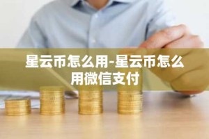 星云币怎么用-星云币怎么用微信支付