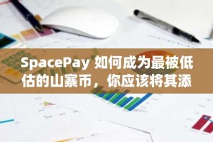 SpacePay 如何成为最被低估的山寨币，你应该将其添加到你的加密货币投资组合中