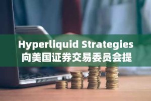 Hyperliquid Strategies 向美国证券交易委员会提交申请，为 HYPE Treasury 筹集 10 亿美元