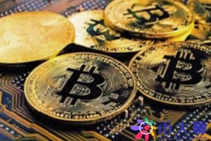 BTCs预期价格(btcs价格今日行情)