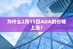 为什么2月11日ADA的价格上涨？