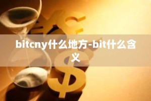 bitcny什么地方-bit什么含义