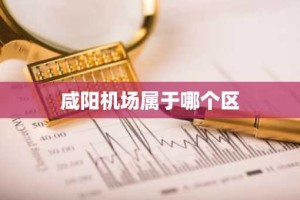 咸阳机场属于哪个区